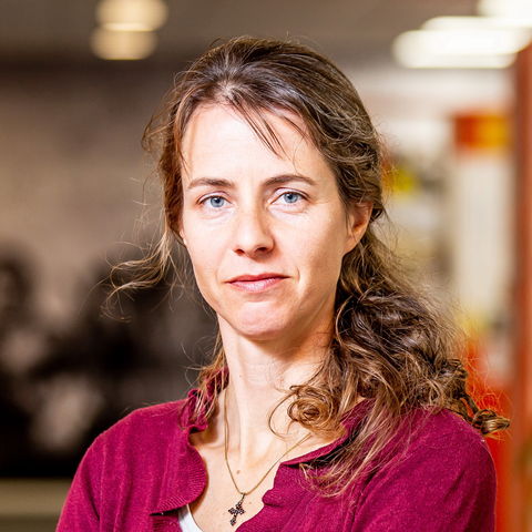 Сінта Депондт